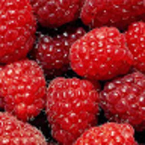 Meet your Posher, Fatimah